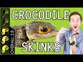 Red-Eyed Crocodile Skink, The Best Pet Lizard?