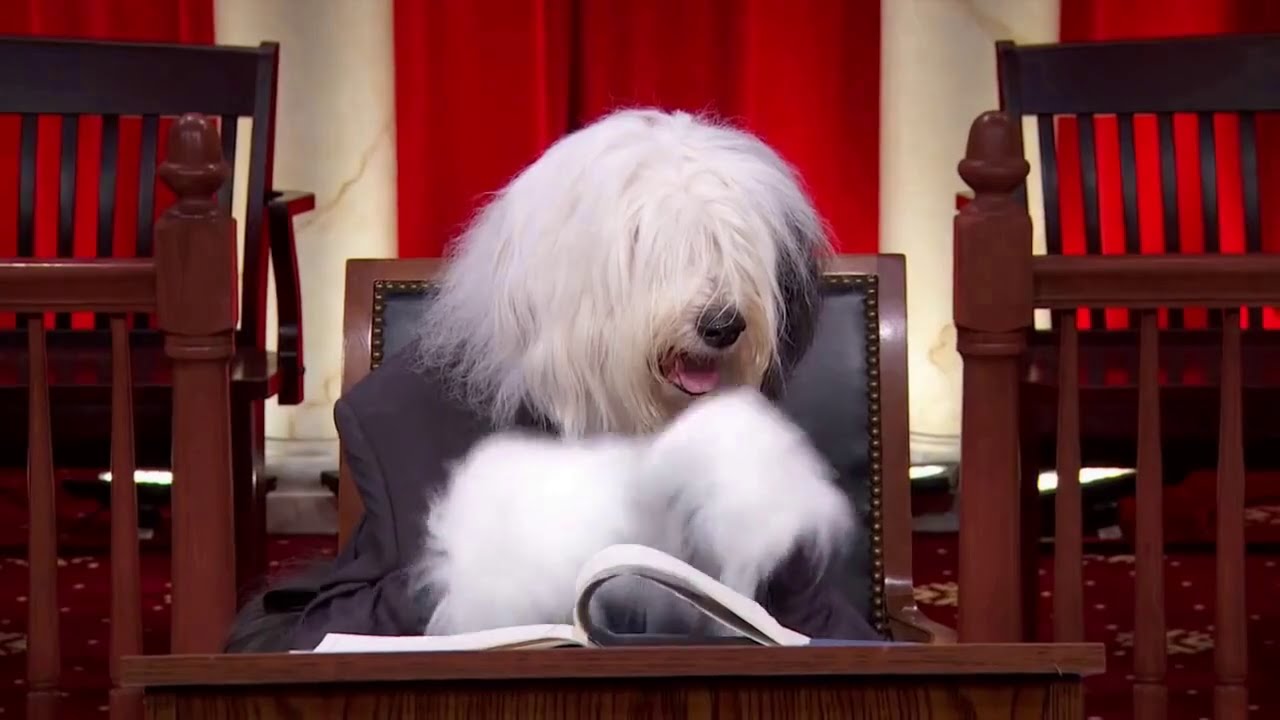 CSX Transportation, Inc. v. Alabama Department of Revenue: Oral Argument - November 10, 2010