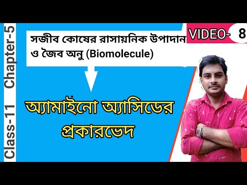 ভিডিও: অ্যামিনো অ্যাসিড কী কী?