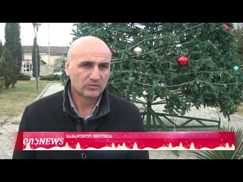 ქარელის მუნიციპალიტეტის მერის საახალწლო მილოცვა