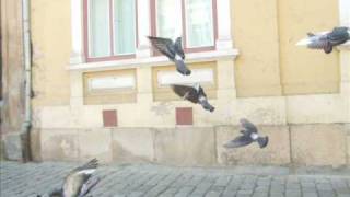 Francisco Garcia  Whats A Woman