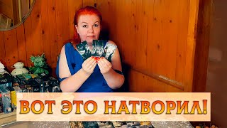 картинка: НАКОСЯЧИЛ, НАТВОРИЛ! ЧТО В ЕГО ЖИЗНИ ПРОИСХОДИТ?
