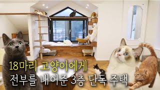 [ENG] 집 하나가 전부 고양이꺼! 세상에 이런 집이? 18냥이는 행복해요ᓚᘏᗢㅣ고꿈집3 with @arirang3