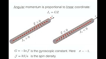 Oleg Tchernyshyov: Mechanics of Ferromagnetic Solitons