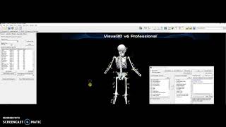 V3D Processing
