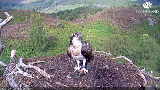 LArkaig09-04-2020/15:04 Louis in with next fish Vera have a fish tablet
