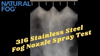 Celebrity Customer Inquiry -  Spray Pattern Test 316 Stainless Steel 0.08mm and 1.00mm Fog Nozzle at 1000psi Net Worth