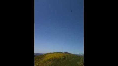 Erwin Dynamic Soaring