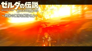 新春ﾌﾞﾚﾜｲ その3【ゼルダの伝説 ブレスオブザワイルド】