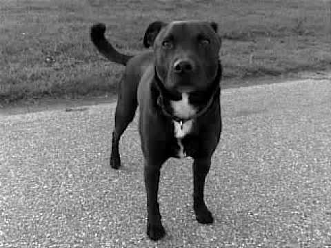 Part 2 (III) - Helo Low a Helo Cian... 22.04.2009