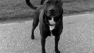 Download Lagu Part 2 (III) - Helo Low a Helo Cian... 22.04.2009 MP3