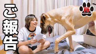 【超大型犬】ご報告です！そして子猫の病院へ
