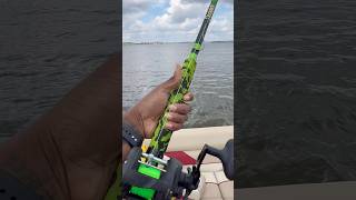 Catfishing fishing tips #youtubeshorts #reels #fishing #fish #catfish #carp
