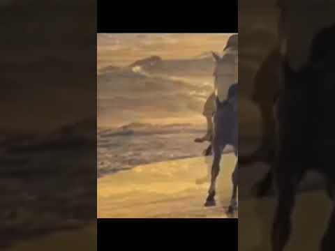 محمد فوزى طير بينا ياقلبى 