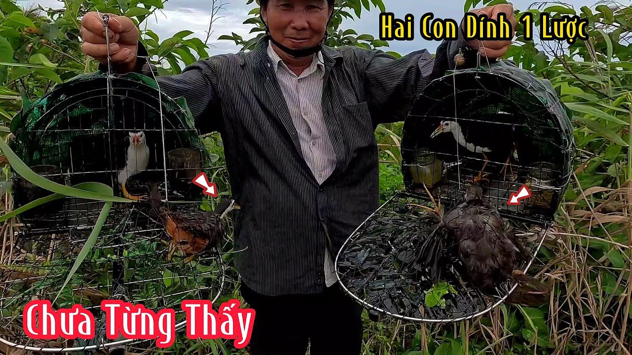 Không Thể Nào Tin Nổi 2 Con Dính Cùng 1 Lúc | Đam Mê Săn Bắt