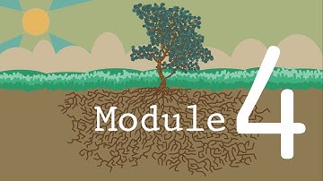 RootsMOOC Module 4 Intro
