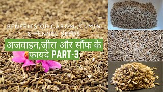 Benefits Of Carom ,Cumin & Fennel Seeds |अजवाइन,जीरा और सौंफ के फायदे ! Part-3