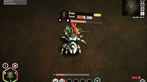 For The Hive Insect Game - Come play with me