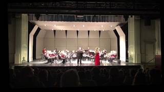 Tuba Solo and Brass Band, Flight by Pete Meechan