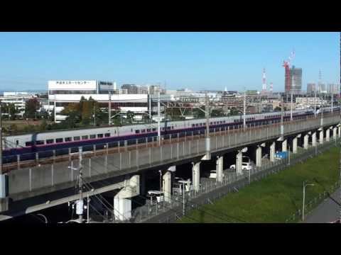 東北新幹線　E2系はやて＋E3系こまち