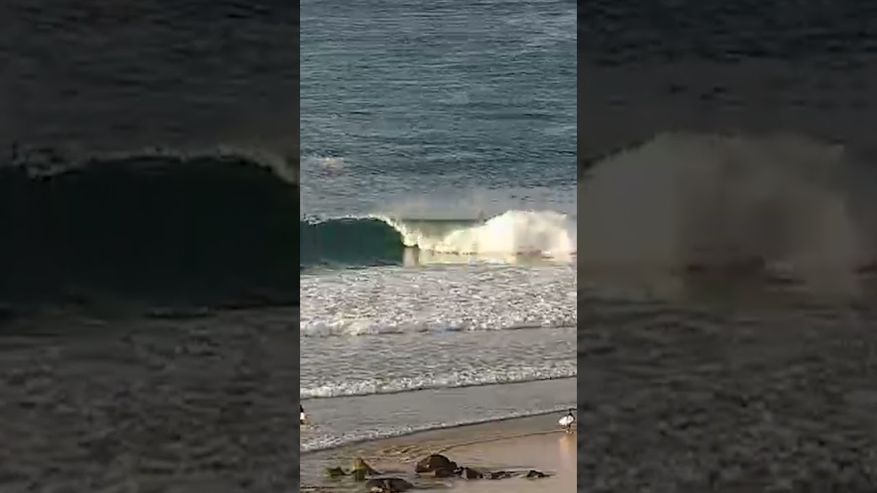 Clips