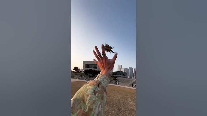 Poor Sugar Glider Was Caught By An Eagle #cutePets #animals #sugarglider #funny