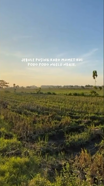 Story Wa Dj Midua Cinta // Salira Ayeuna Ayuna Dimana