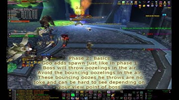 Professor Putricide Guide