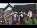 🌿 WISTERIA Traditional Japanese HOUSE 日本の藤の家 🌿 w/ @Celestirah 🌿 -BLOXBURG- 🌿