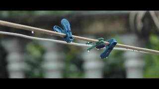 Canon 60D Video Test 1080P 25 Fps