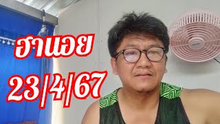 ใครรอฮานอย มารับไป 23/4/67