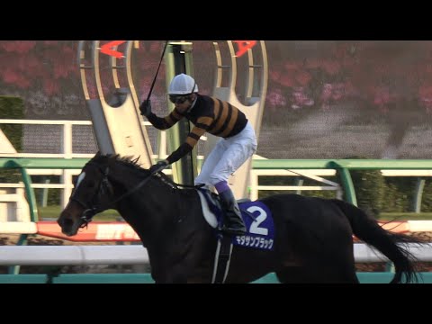 キタサンブラック　馬券　第62回有馬記念　1着　現地 4K、現地撮影】第62回有馬記念（GⅠ）優勝馬キタサンブラック