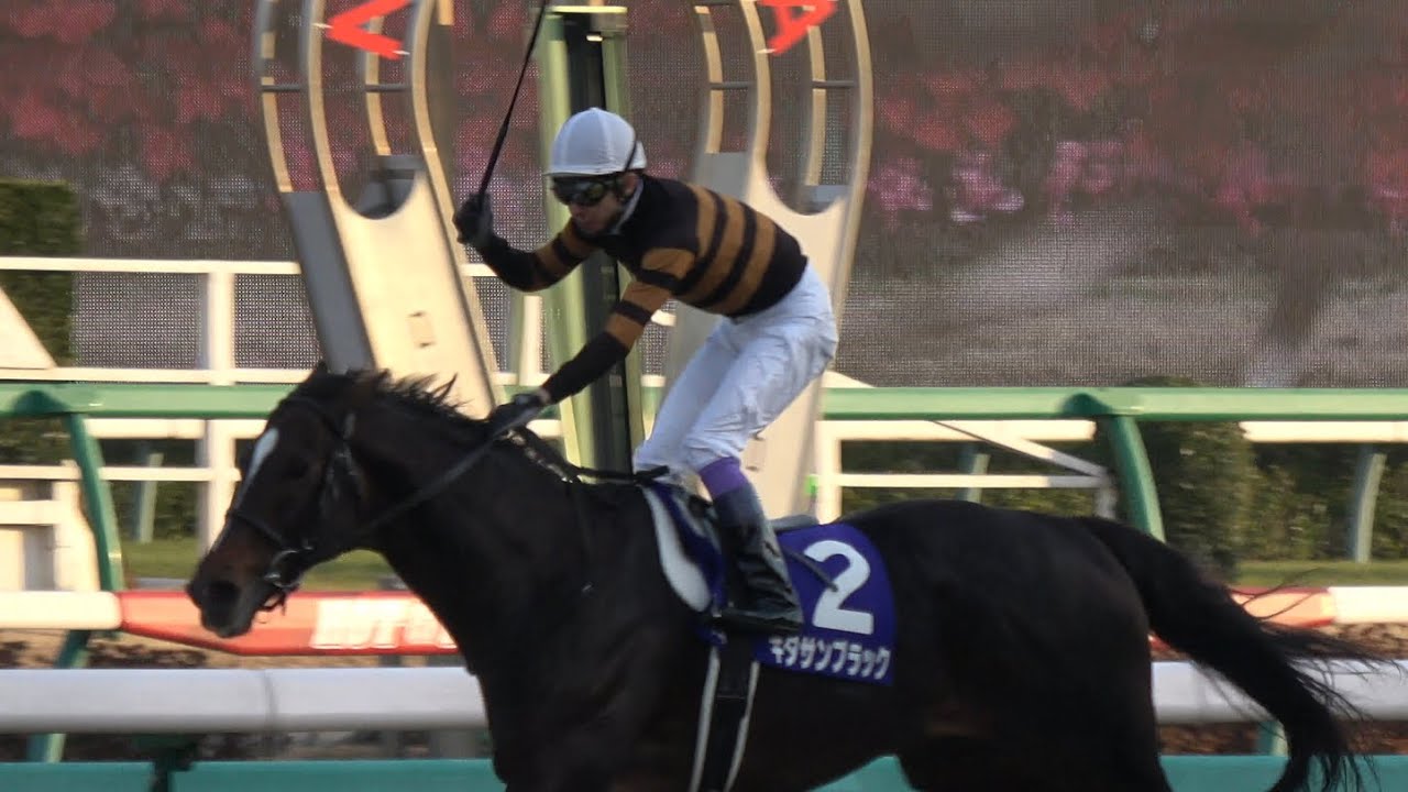 キタサンブラック　馬券　第62回有馬記念　1着　現地 4K、現地撮影】第62回有馬記念（GⅠ）優勝馬キタサンブラック