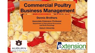 Commercial Poultry Business Management