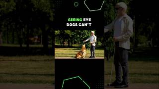 Seeing Eye Dogs Dont Know When Traffic Lights are Green or Red