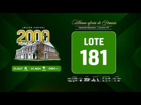 LOTE 181