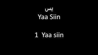 SURAT YASIN di lengkapi dengan huruf latin dan terjemahan bahasa Indonesia