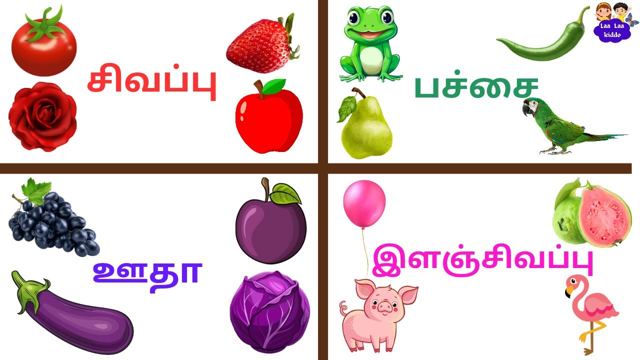 நிறங்கள் பெயர்கள்/Learn Colours Name in Tamil for kids/வண்ணங்கள் ...
