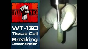 0.1ml-1L WT130 Dyna Passion-Tissue Tearor for animal,human,plant DNA,protein extraction