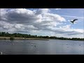 قصه ماهان و بلیط استادیوم 