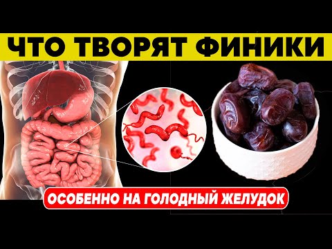 Даже 1 финик съеденный натощак может вызвать НЕОБРАТИМЫЕ ПРОЦЕССЫ в организме. Что творят финики?