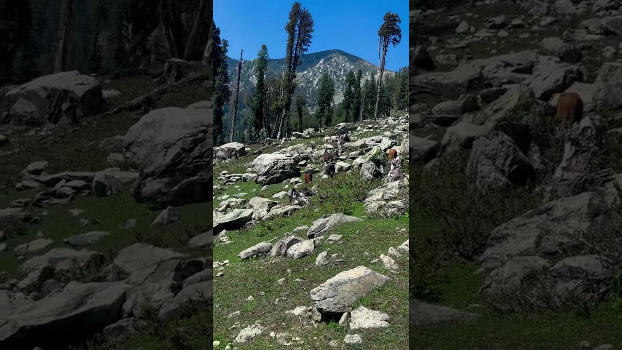 Amazing view mashallah 