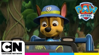 Paw Patrol Yavrular Ve Kokuşmuş Baloncuk Sorunu