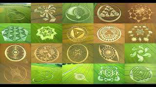 CROP CIRCLES MYSTERY.