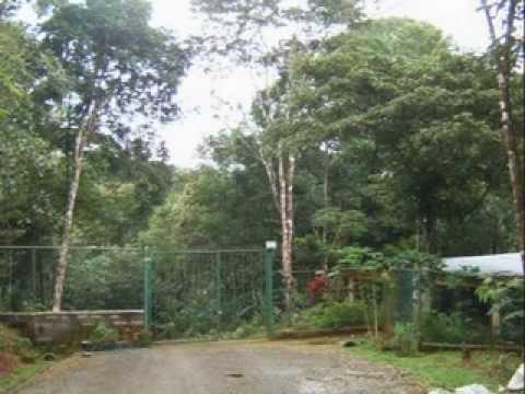 Urbanizacion las mercedes panama #7