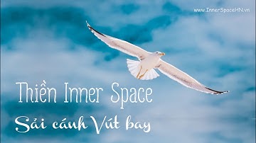 Thiền Inner Space - SẢI CÁNH VÚT BAY