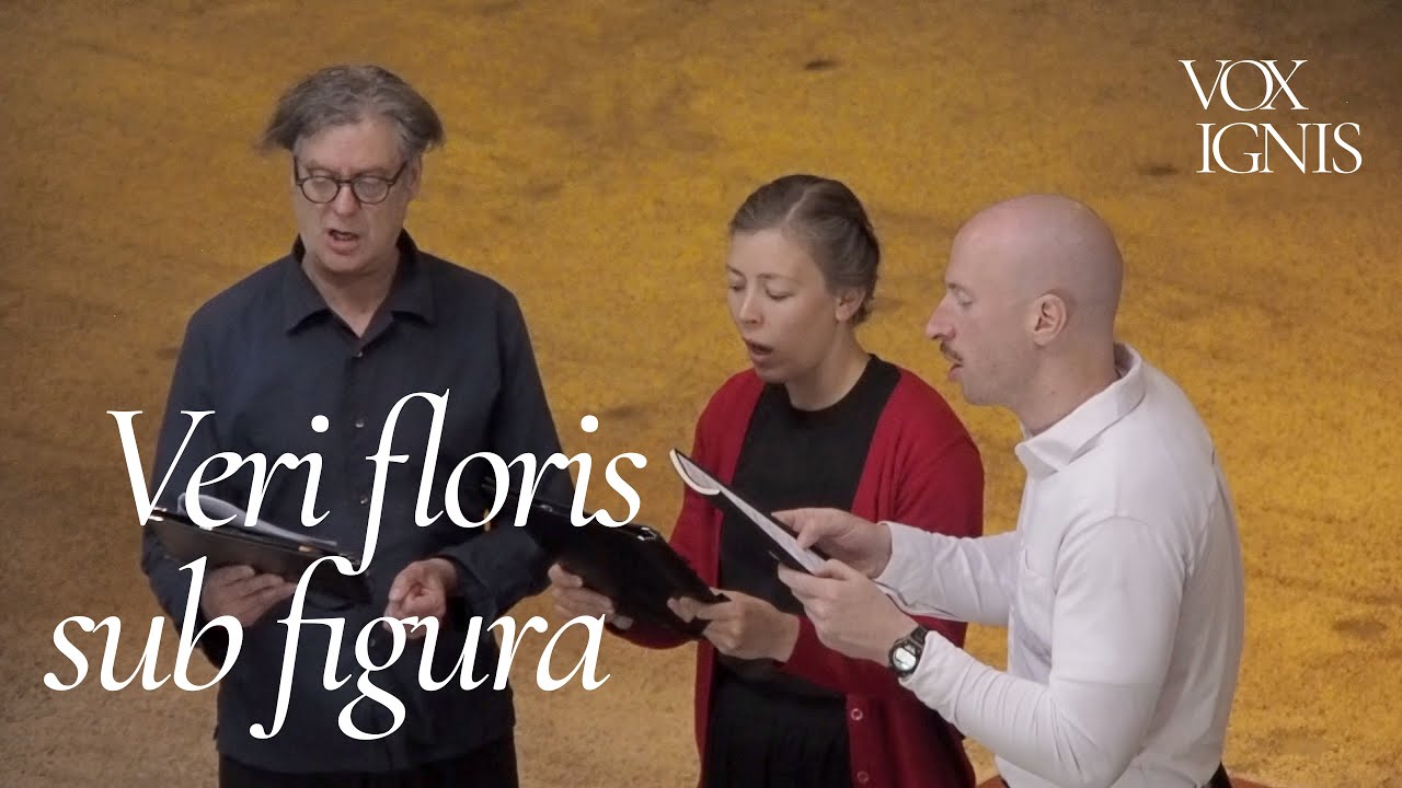 Veri floris sub figura | École de Notre-Dame (12. Jahrhundert)