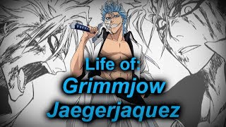 Life of Grimmjow (What it feels like to be Grimmjow)