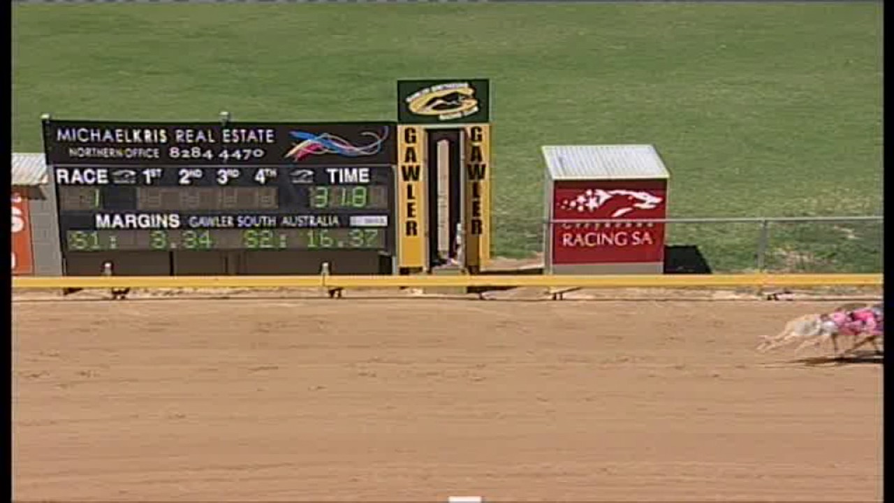 Gawler14022017Race1 YouTube