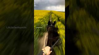 Klx 230 Kawasaki 2026  #kawasaki #shorts #reels #youtubeshorts #travel #karnataka #bike #shortvideo